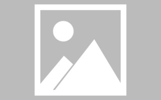西宁网页设计英文默认字体（网页设置英文转换中文）